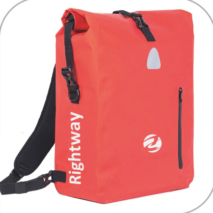 Backpack and carrier bag